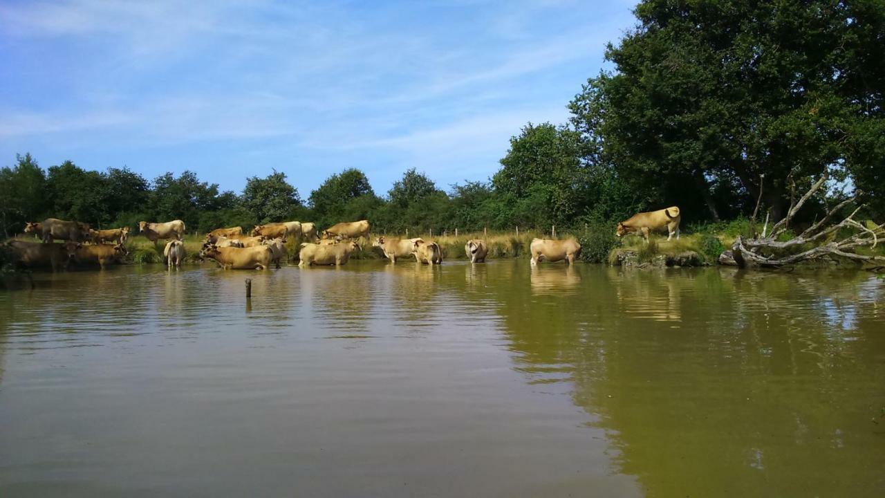 Petit Gite A La Ferme Villa Rosnay  Ngoại thất bức ảnh