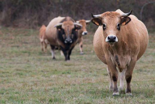 Petit Gite A La Ferme Villa Rosnay  Ngoại thất bức ảnh
